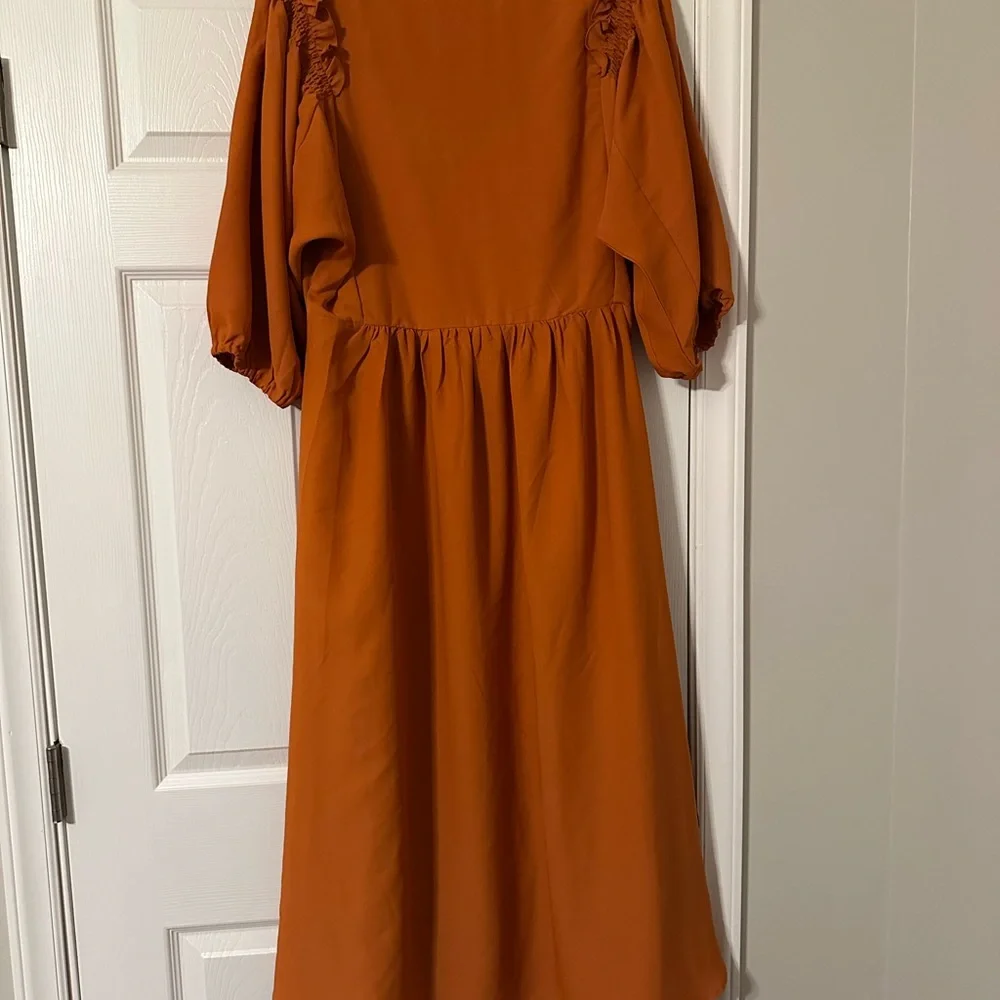 Nursing Queen Terracotta Midi Dress - Picture 4 of 4